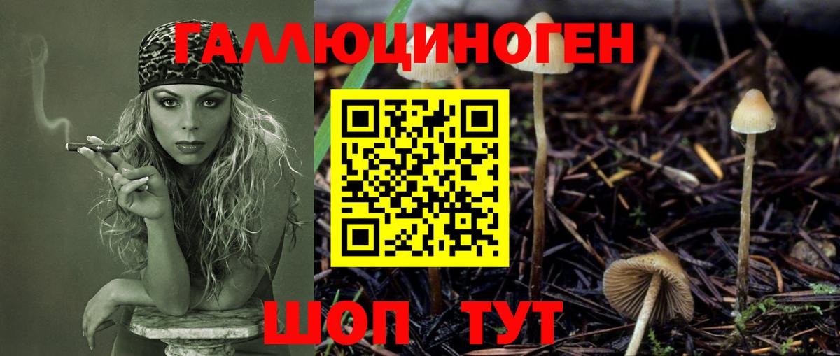 Псилоцибиновые грибы MAGIC MUSHROOMS  Галлюциногенные грибы ЛСД  Вход с VPN  Реутов 