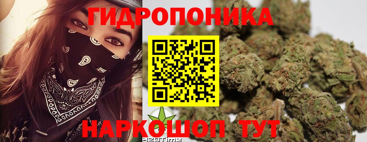 МАРИХУАНА план Реутов